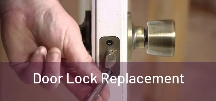  Door Lock Replacement 